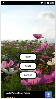 Garden Live Wallpapers android App screenshot 0